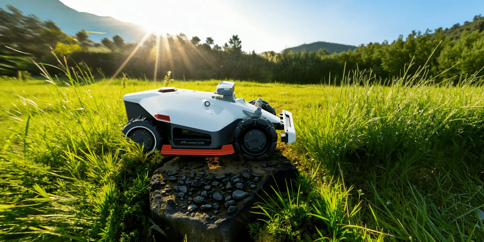 Domestic Robotic Mowers